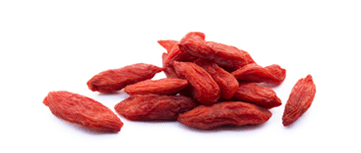 Goji Berries - Health Benefits - Good Snack Company
